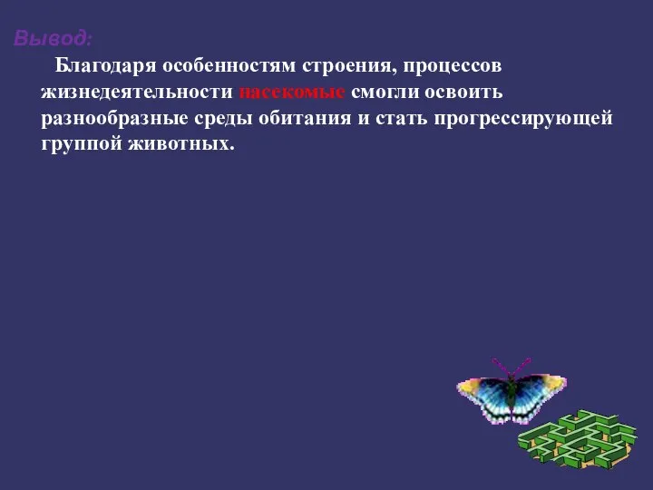 Благодаря особенностям строения, процессов жизнедеятельности насекомые смогли освоить разнообразные среды обитания