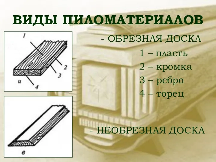 ВИДЫ ПИЛОМАТЕРИАЛОВ - ОБРЕЗНАЯ ДОСКА 1 – пласть 2 – кромка