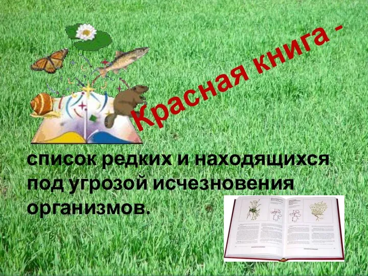 Красная книга - список редких и находящихся под угрозой исчезновения организмов.