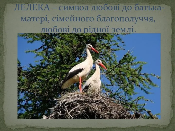 ЛЕЛЕКА – символ любові до батька-матері, сімейного благополуччя, любові до рідної землі.