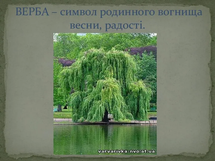 ВЕРБА – символ родинного вогнища весни, радості.