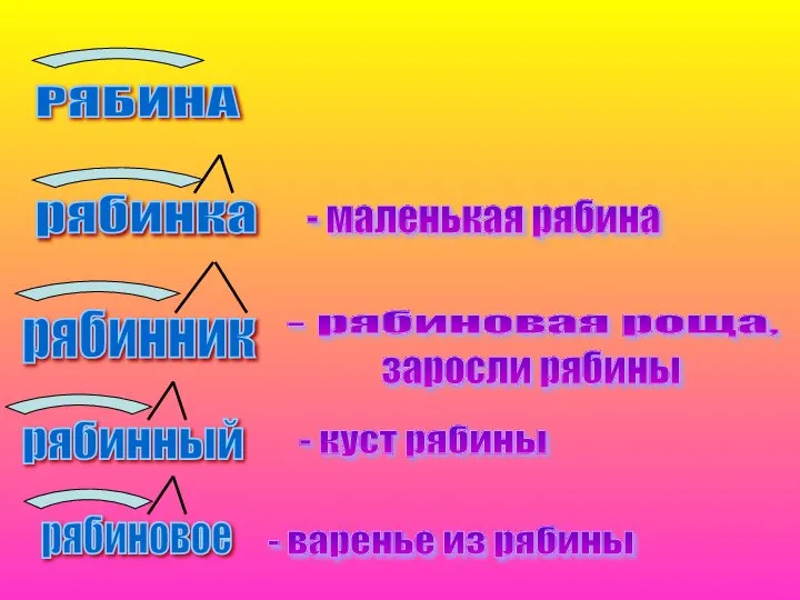 РЯБИНА рябинка - маленькая рябина рябинник рябинный рябиновое - рябиновая роща,