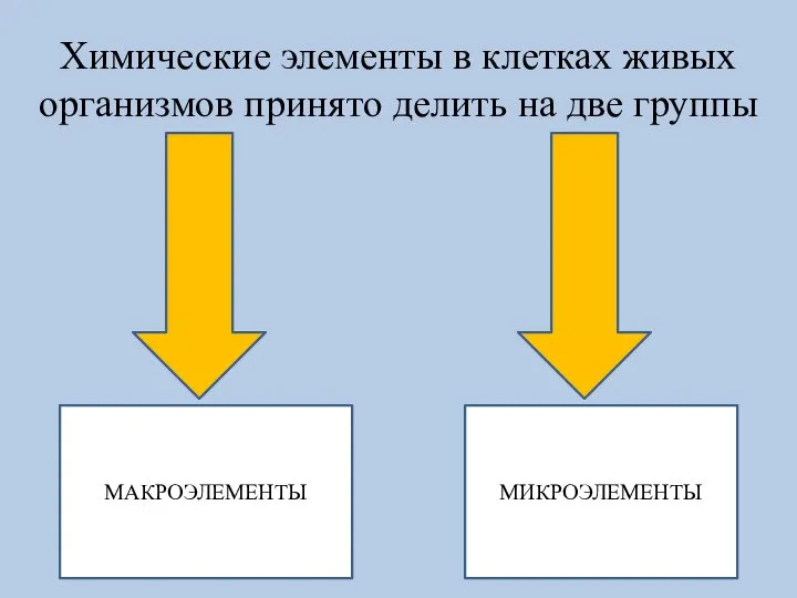 Химические элементы в клетках живых организмов принято делить на две группы МАКРОЭЛЕМЕНТЫ МИКРОЭЛЕМЕНТЫ