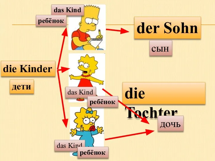 die Kinder das Kind der Sohn die Tochter дети das Kind