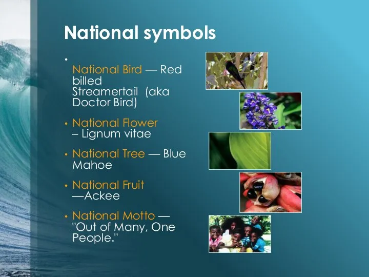 National symbols National Bird — Red billed Streamertail (aka Doctor Bird)