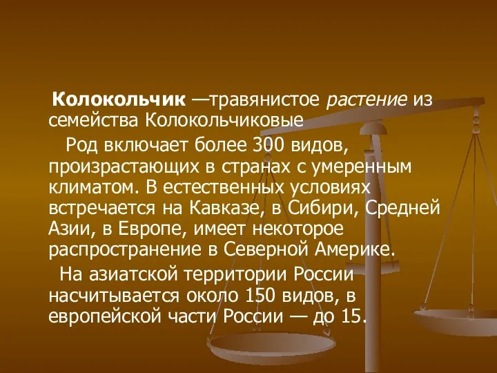 Колокольчик —травянистое растение из семейства Колокольчиковые Род включает более 300 видов,