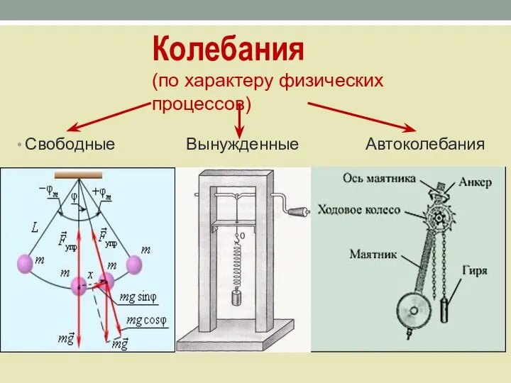 Колебания (по характеру физических процессов) Свободные Вынужденные Автоколебания