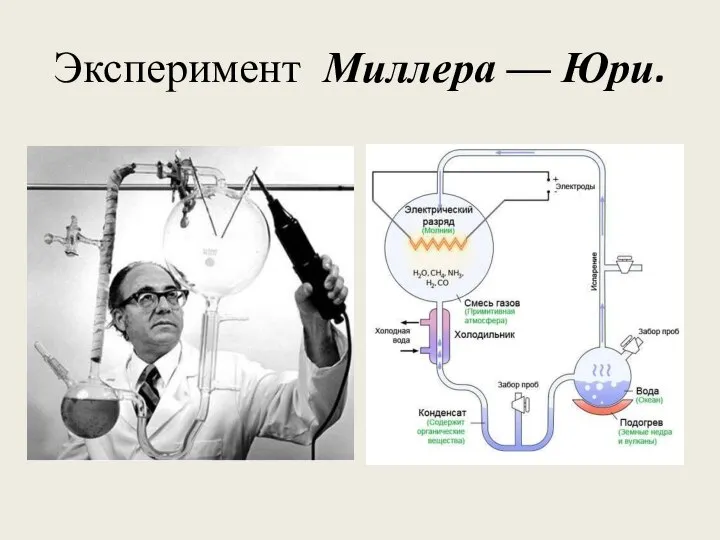 Эксперимент Миллера — Юри.