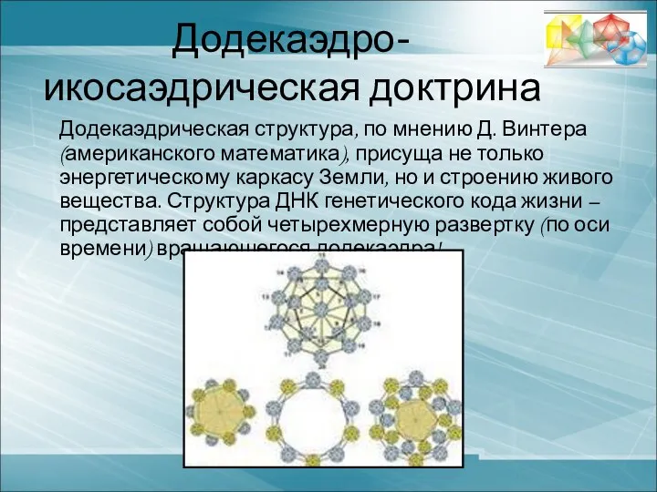 Додекаэдро-икосаэдрическая доктрина Додекаэдрическая структура, по мнению Д. Винтера (американского математика), присуща