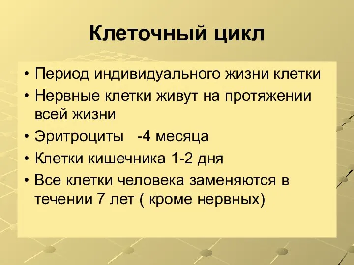 Клеточный цикл Период индивидуального жизни клетки Нервные клетки живут на протяжении