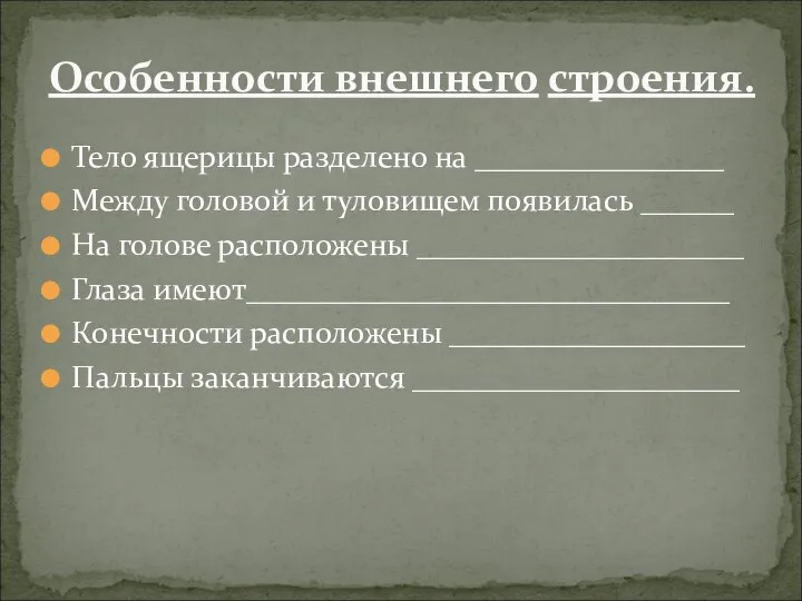 Тело ящерицы разделено на ________________ Между головой и туловищем появилась ______