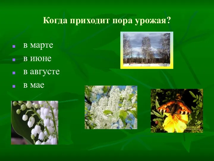 Когда приходит пора урожая? в марте в июне в августе в мае