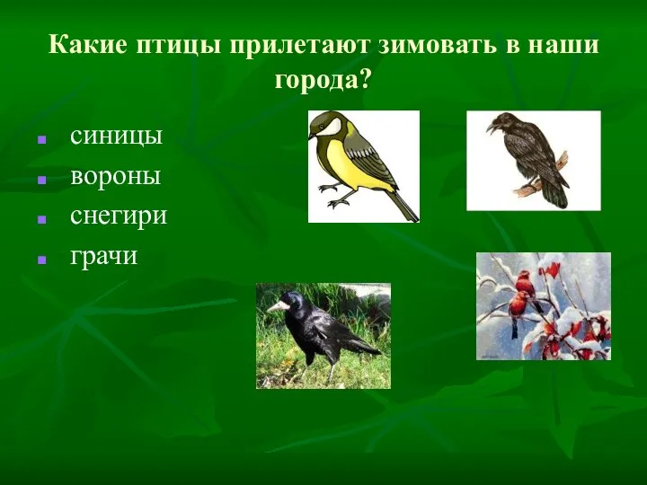 Какие птицы прилетают зимовать в наши города? синицы вороны снегири грачи