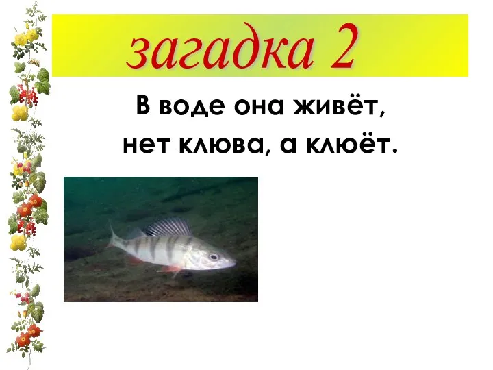 В воде она живёт, нет клюва, а клюёт. загадка 2