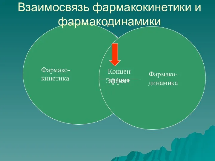 Фармако- кинетика Фармако- динамика Концентрация Эффект Взаимосвязь фармакокинетики и фармакодинамики