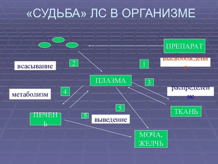 «СУДЬБА» ЛС В ОРГАНИЗМЕ ПРЕПАРАТ ПЛАЗМА ТКАНЬ МОЧА, ЖЕЛЧЬ ПЕЧЕНЬ высвобождение