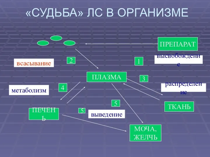 «СУДЬБА» ЛС В ОРГАНИЗМЕ ПРЕПАРАТ ПЛАЗМА ТКАНЬ МОЧА, ЖЕЛЧЬ ПЕЧЕНЬ высвобождение