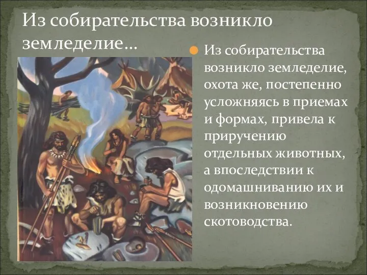 Из собирательства возникло земледелие, охота же, постепенно усложняясь в приемах и