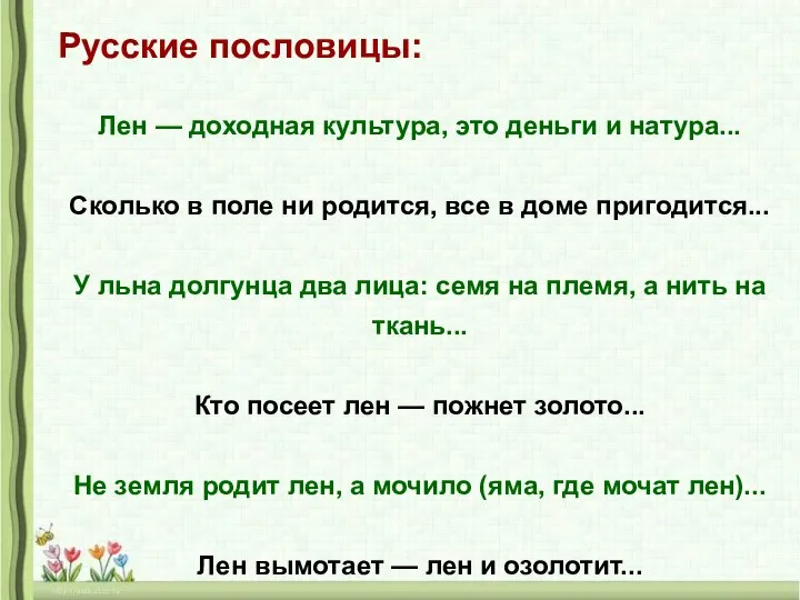 Русские пословицы: Лен — доходная культура, это деньги и натура... Сколько