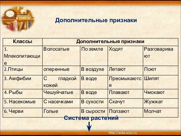 Дополнительные признаки Система растений