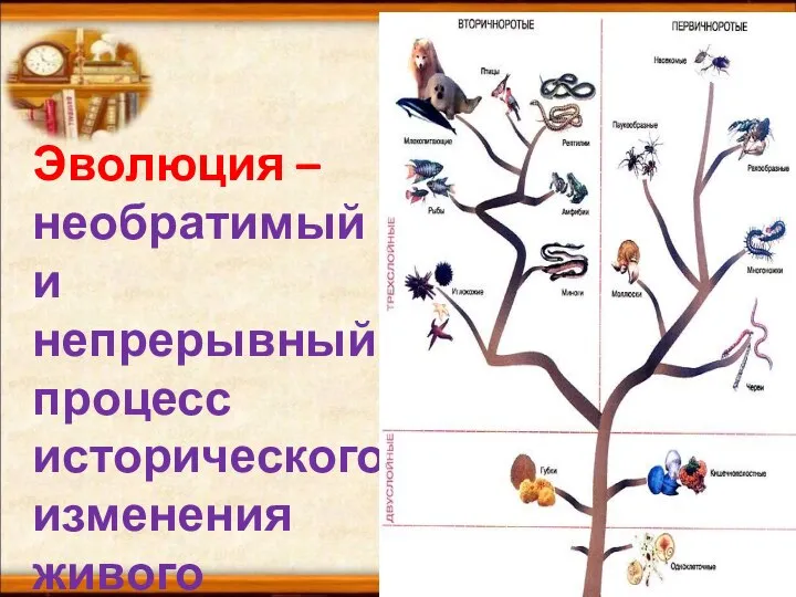 Эволюция – необратимый и непрерывный процесс исторического изменения живого