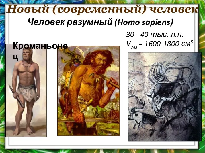 Новый (современный) человек 30 - 40 тыс. л.н. Vгм = 1600-1800