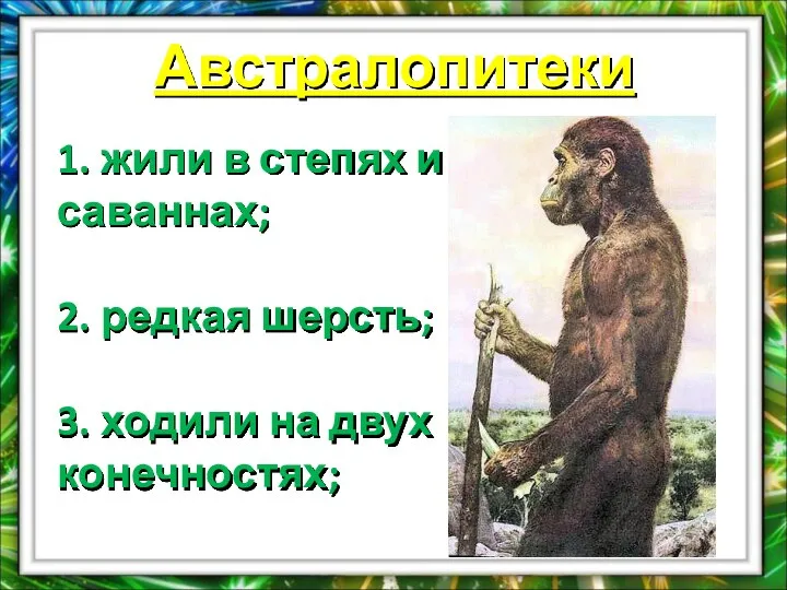 Австралопитеки 1. жили в степях и саваннах; 2. редкая шерсть; 3. ходили на двух конечностях;