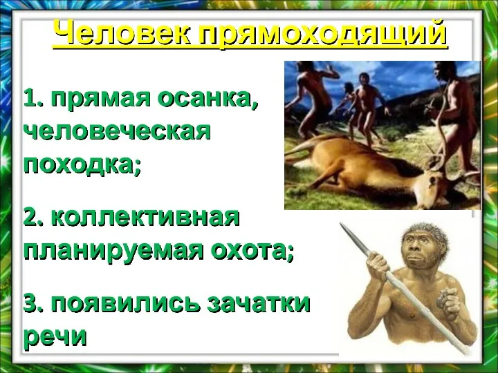 Человек прямоходящий 1. прямая осанка, человеческая походка; 2. коллективная планируемая охота; 3. появились зачатки речи