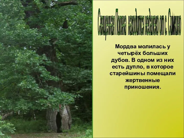 Священная Поляна находится недалеко от с. Симкино Мордва молилась у четырёх