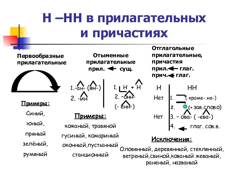 Н –НН в прилагательных и причастиях Первообразные прилагательные Отыменные прилагательные прил.