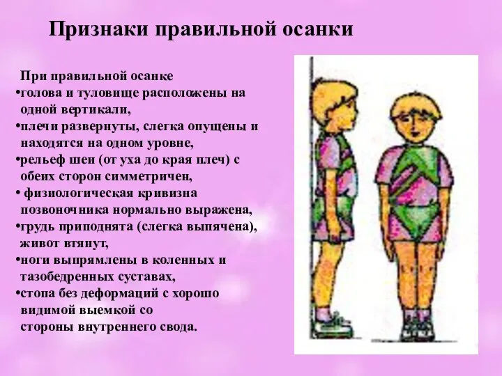 При правильной осанке голова и туловище расположены на одной вертикали, плечи