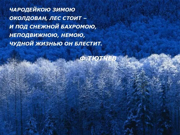 ЧАРОДЕЙКОЮ ЗИМОЮ ОКОЛДОВАН, ЛЕС СТОИТ – И ПОД СНЕЖНОЙ БАХРОМОЮ, НЕПОДВИЖНОЮ,