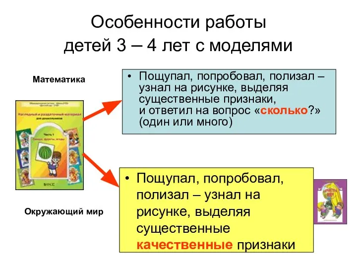 Особенности работы детей 3 – 4 лет с моделями Пощупал, попробовал,