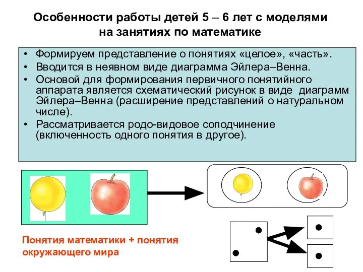 Особенности работы детей 5 – 6 лет с моделями на занятиях