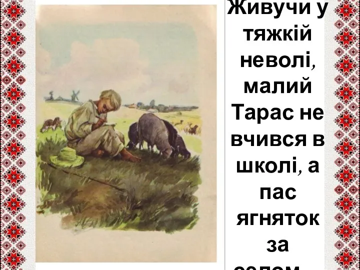 Живучи у тяжкій неволі, малий Тарас не вчився в школі, а пас ягняток за селом…