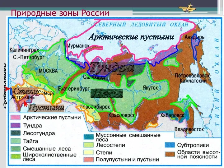 Арктические пустыни Леса Тундра Степи Пустыни Субтропики Природные зоны России