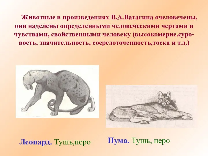 Животные в произведениях В.А.Ватагина очеловечены, они наделены определенными человеческими чертами и