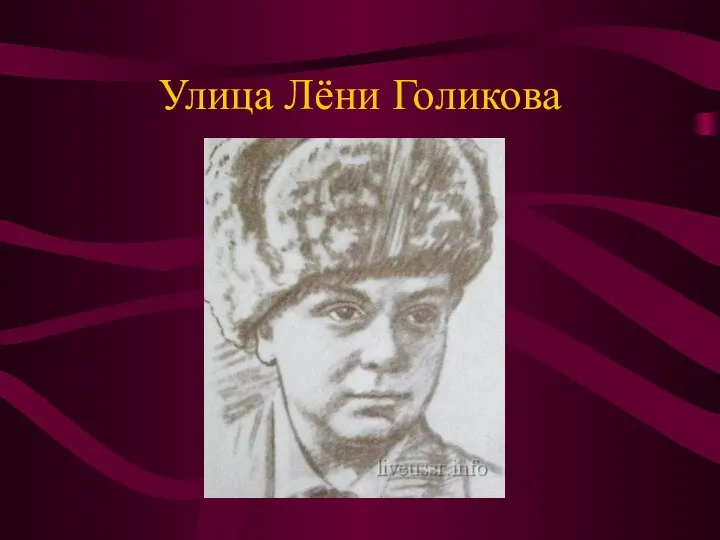 Улица Лёни Голикова