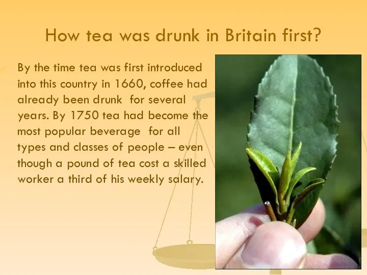 How tea was drunk in Britain first? By the time tea