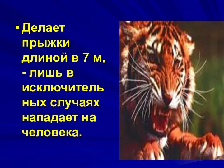 Делает прыжки длиной в 7 м, - лишь в исключительных случаях нападает на человека.