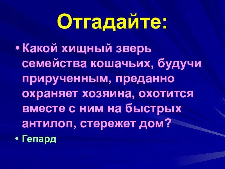 Отгадайте: Какой хищный зверь семейства кошачьих, будучи прирученным, преданно охраняет хозяина,