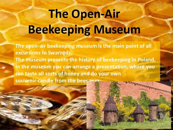 The Open-Air Beekeeping Museum The open-air beekeeping museum is the main