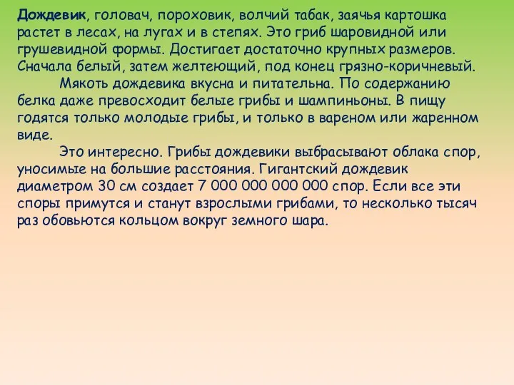 Дождевик, головач, пороховик, волчий табак, заячья картошка растет в лесах, на