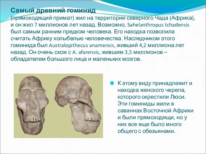 Самый древний гоминид (прямоходящий примат) жил на территории северного Чада (Африка),