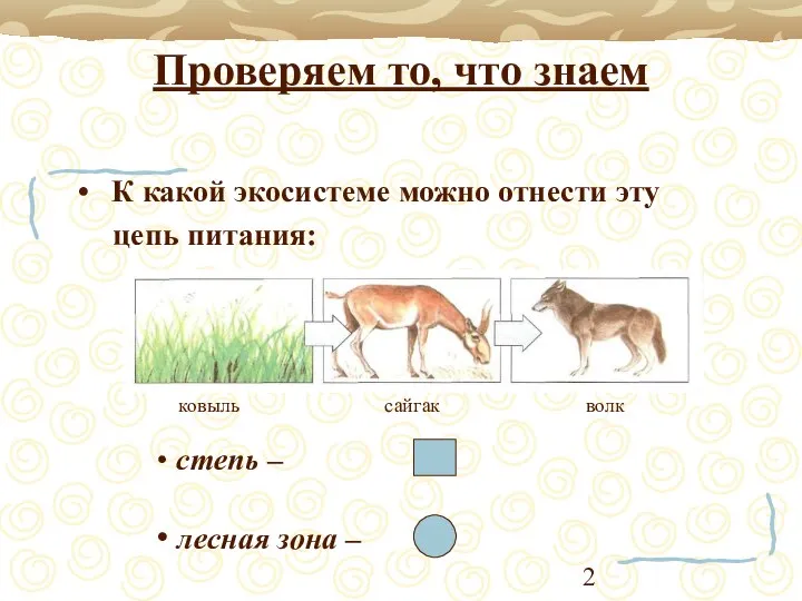 Проверяем то, что знаем К какой экосистеме можно отнести эту цепь