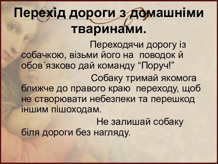 Перехід дороги з домашніми тваринами. Переходячи дорогу із собачкою, візьми його