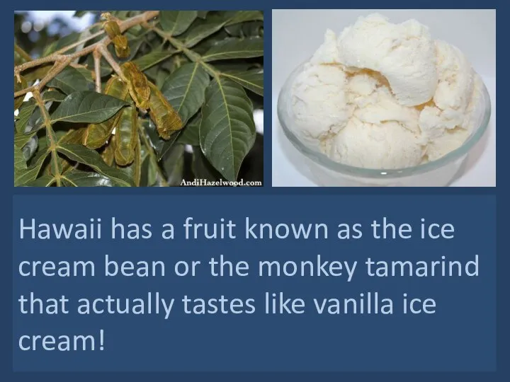 Hawaii has a fruit known as the ice cream bean or