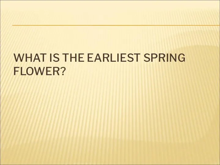 WHAT IS THE EARLIEST SPRING FLOWER?