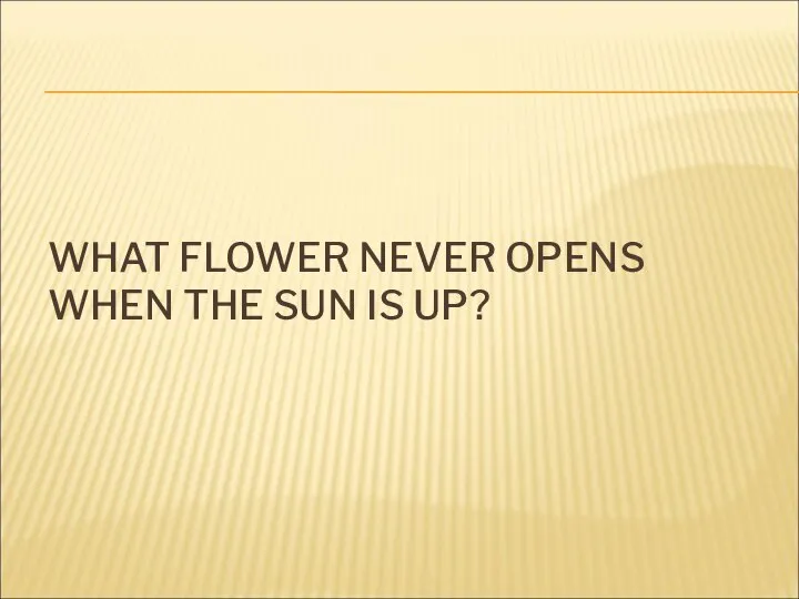 WHAT FLOWER NEVER OPENS WHEN THE SUN IS UP?