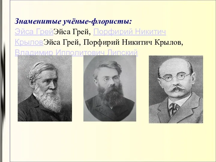 Знаменитые учёные-флористы: Эйса ГрейЭйса Грей, Порфирий Никитич КрыловЭйса Грей, Порфирий Никитич Крылов, Владимир Ипполитович Липский